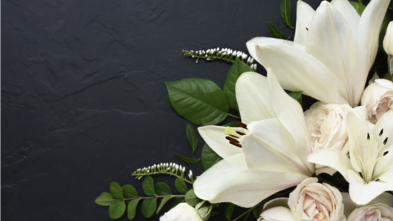 Best Funeral Suppliers in Northern Sydney